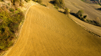 Aerial view of wheat field at sunset. The hills are cultivated continuously.