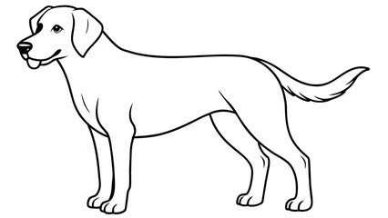 Fetching Dog Vector Illustrations Tail-wagging Designs for Every Project