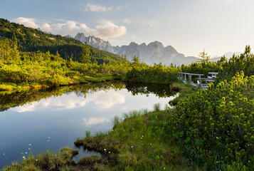 Naturschutzgebiet Löckenmoos, Gosau, Salzkammergut, Oberösterreich, Österreich