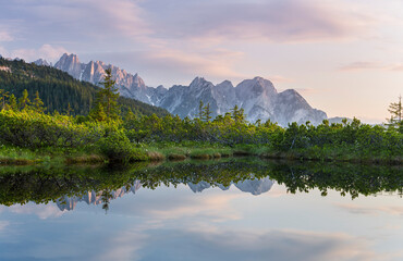 Naturschutzgebiet Löckenmoos, Gosau, Salzkammergut, Oberösterreich, Österreich
