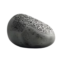 Foto op Plexiglas anti-reflex  A lone pebble with intricate patterns on a transparent background © MistoGraphy