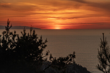 
The image captures a tranquil sunset, where the horizon meets the calm sea under a spectacle of orange and red hues, while silhouettes of trees frame the scene.
