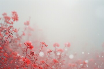 Red flowers on a foggy day,  Beautiful natural background with copy space
