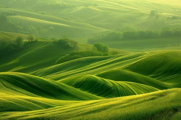Fotobehang Beautiful landscape of rolling hills in Tuscany, Italy © Cuong