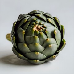 Obraz premium artichoke on a green background