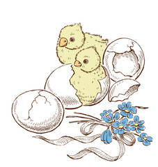 Newborn hatched Easter chicks, eggs, delicate violets bouquet with ribbon, greeting card, hand drawn vector illustration - 763981854