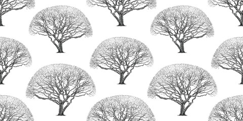 Tree bare deciduous silhouette seamless pattern hand drawn vector background wallpaper paper - 763982042