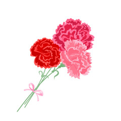 Carnations bouquet. Red and pink flowers with bow. Vector cartoon illustration.