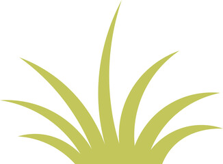 cartoon grass illustration.