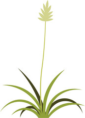cartoon grass illustration.