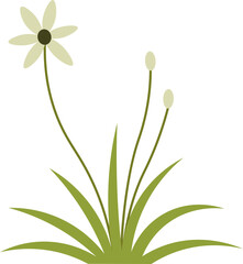 cartoon grass illustration.