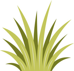cartoon grass illustration.