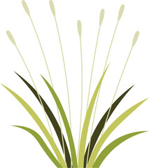 cartoon grass illustration.