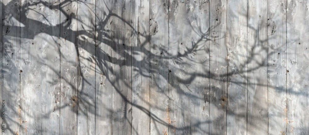 Poster the silhouette of a tree falls on a wooden fence, blending nature with manmade elements in the tranq