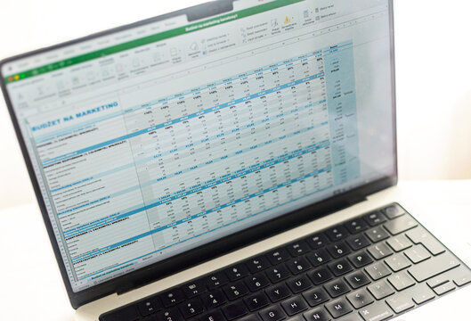 Widok na otwarte okno progamu Excell Microsoft z tabelką na ekranie laptopa Macbook Pro. Koncept zdalnej pracy.	