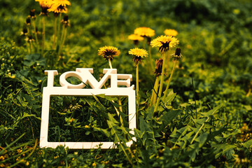 Vintage photo. White frame with the inscription love.Green meadow,dandelions