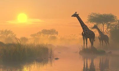 Gardinen Giraffes89 © Annika