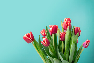Tulip bouquet on green background , springtime celebration, floral arrangement, fresh blooms.