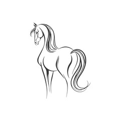 Line drawing of a horse on a white background, vector illustration
