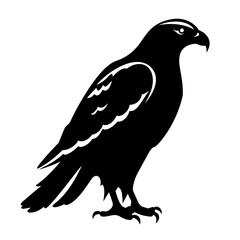 Hawk black icon on white background. Hawk silhouette