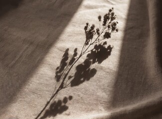 Abstract floral sunlight shadow silhouette on neutral beige linen cloth texture background: Boho...