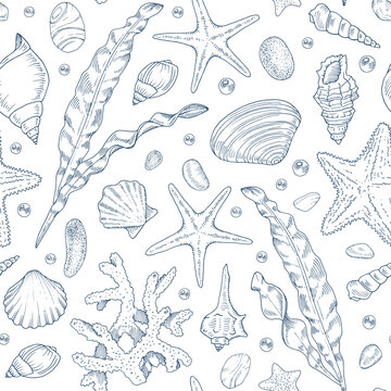 Sea Vector seamless Pattern. Outline illustration of seashell and starfish Background. Black and white line art. Hand drawn graphic sketch of coral and algae. Linear print drawing