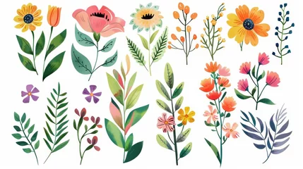 Fotobehang Colorful floral collection with leaves and flowers drawn by watercolor. Perfect for invitations, weddings, and greeting cards. © Mark
