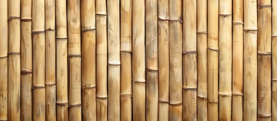Gordijnen A closeup of a bamboo fence showcasing the natural beauty of the bamboo sticks, with its unique pattern and organic wood stain © 2rogan