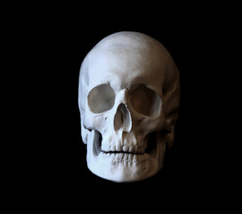 Plaster white skull close-up on a black background. Fake plaster skull on a dark background. Model...