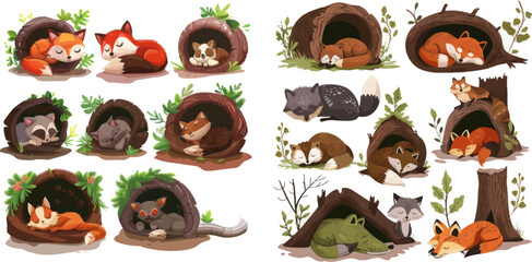 Forest animals resting or hibernate, cute racoon, fox and beaver vector illustration set - obrazy, fototapety, plakaty
