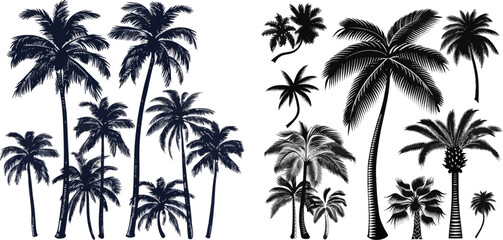 Tropical botany silhouettes - obrazy, fototapety, plakaty