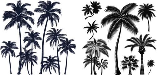 Fotobehang Tropical botany silhouettes © Mark