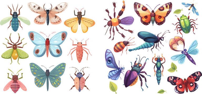 Butterfly, beetle, spider, ladybug and caterpillar, wild forest entomology insects