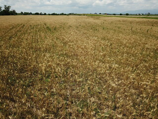 small town in the mountainous valleys of northwestern Argentina