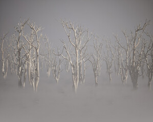 Dead trees in mist on forest ground.