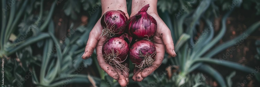 Poster hand holding red onion with blurred onion selection background and space for text