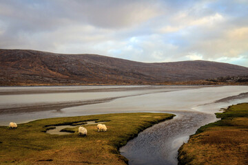 Scenic marshes view near Luskentyre beach, Isle of Harris, Hebrides, Scotland