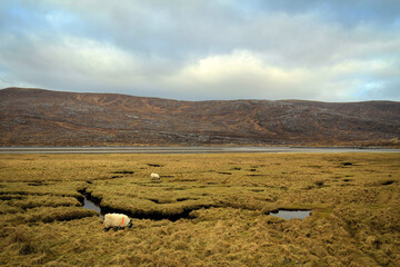 Scenic marshes view near Luskentyre beach, Isle of Harris, Hebrides, Scotland