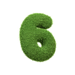 The number 6 shaped from dense green grass, set against a pure white backdrop. Number six. Front view. 3D render illustration