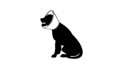 dog with elizabethan (buster) collar, black isolated silhouette