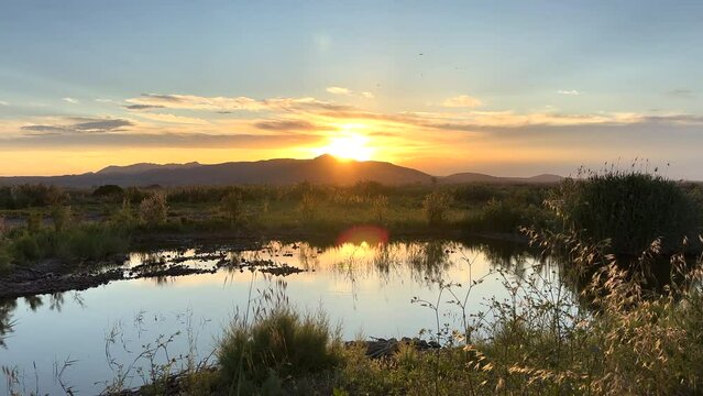 Pond at sunset against of mountains. Mountains landscape on sunset. Lake in wild with birds at sunset. Bird watching in Marjal dels Moros in Sagunt,Pucol, Valencia, Spain. Wetland maintenance. 