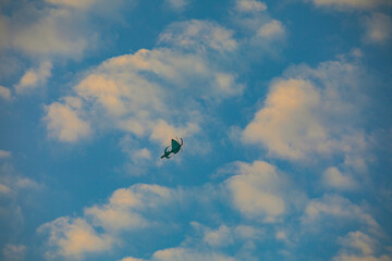 Sunset colourful kite in the sky with fluffy clouds and orange