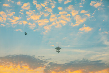 Sunset colourful kite in the sky with fluffy clouds and orange