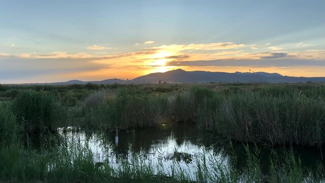 Pond at sunset against of mountains. Mountains landscape on sunset. Lake in wild with birds at sunset. Bird watching in Marjal dels Moros in Sagunt,Pucol, Valencia, Spain. Wetland maintenance. 