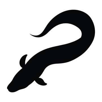 silhouette of a Eel fish on white 