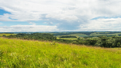 Fototapeta na wymiar A view of the Brazilian Subtropical Highland Grasslands (Campos de Cima da Serra) in Sao Francisco de Paula, South of Brazil