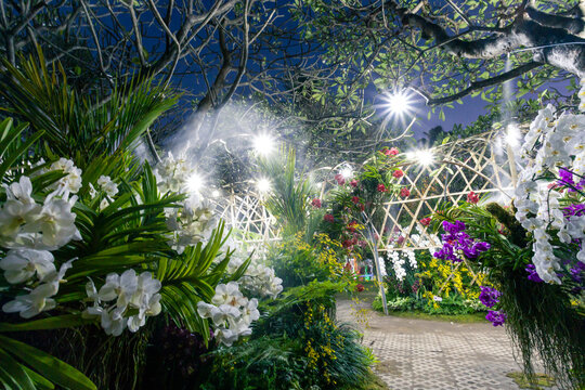 landscape white and colorful orchid garden A lush orchid tunnel in a park in Chiang Mai There are beautiful displays of flowers and orchids natural at night feeling.