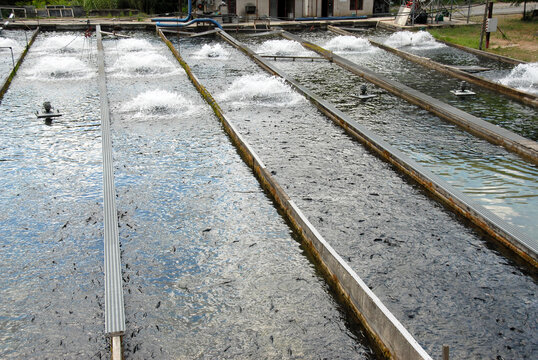 fish farming in France