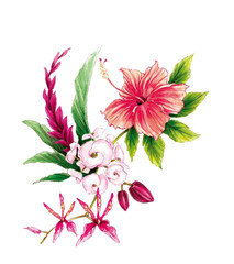 Hibiskusblüte u.a. © Jonas Hauss