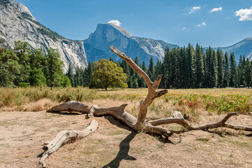 Yosemite Valley in Yosemite National Park during September in California. Formed in 1890 this is one of the oldest and most famous National Parks in the United States. - 764041647